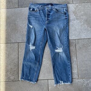 Joe's Jeans Blue Distressed Ankle Jeans
